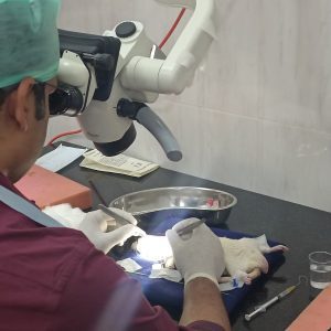 NIMHANS Workshop 2025 - 8